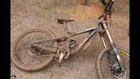 DSC_0412.jpg